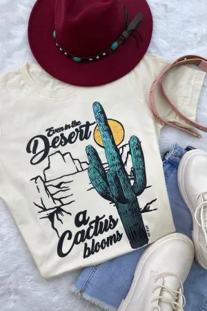 BC CACTUS BLOOM- CREAM